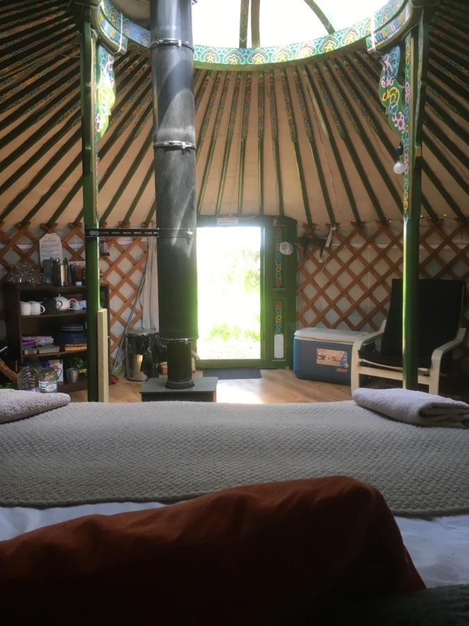 Penbedw Estate -Rural retreats,tennis Mold Buitenkant foto